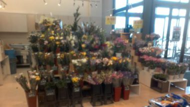 昭和店