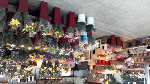 5315b6079a86d916d433f3c736395e