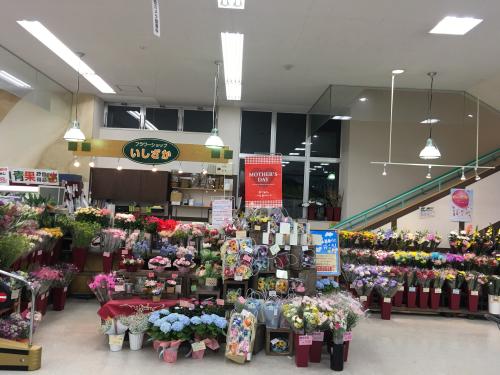 ノース店 – 北海道のフラワーギフト、花束ならフラワーショップいしざか