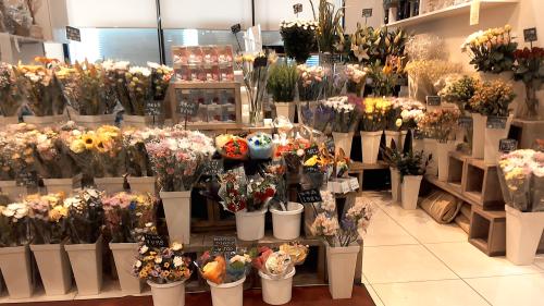 七飯店 – 北海道のフラワーギフト、花束ならフラワーショップいしざか